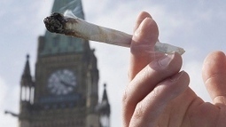 $1.3B medical marijuana free market coming to Canada | Beckley News : Cannabis - Marijuana | Scoop.it
