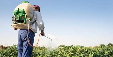 Usage des pesticides : o&ugrave; se situe le MAROC face &agrave; ses concurrents ?&nbsp; | CIHEAM Press Review | Scoop.it