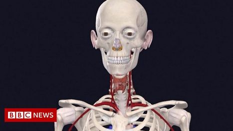 New 3D female anatomy model used to better treat women | Learning and Technologies | Scoop.it