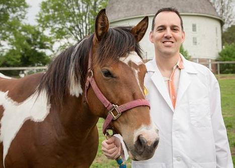 Cellphone technology helps horses recover from surgery | Science News | Scoop.it