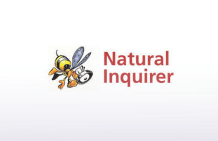 A Tool for Your Science Toolbox: Natural Inquirer | Rainforest CLASSROOM | Scoop.it