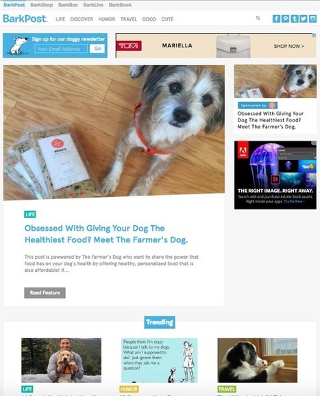 16 of the Best Examples of Beautiful Blog Design | WebsiteDesign | Scoop.it