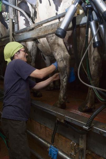 Les éleveurs liquident leur lait sur le Bon Coin | Lait de Normandie... et d'ailleurs | Scoop.it