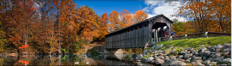 It is a beautiful Autumn in Michigan | Gardening Life | Scoop.it