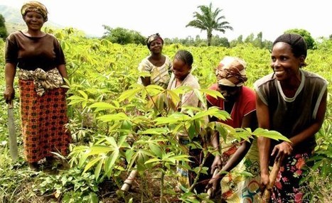 « Avec une bonne politique agricole, en 10 ans, le Congo n’aura plus besoin de fonds extérieurs » | Questions de développement ... | Scoop.it