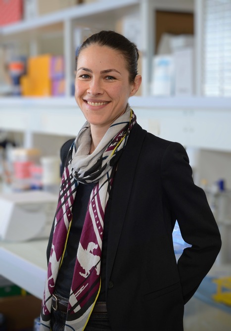 Portrait Jeune Chercheuse – Sophie de Carné Trécesson, Chaire de Professeur Junior en prévention des cancers | Life Sciences Université Paris-Saclay | Scoop.it