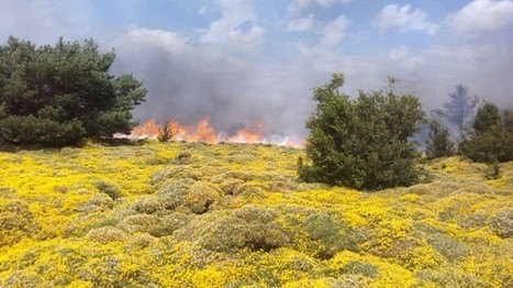 Risques extrêmes d'incendies forestiers en Aragon | Vallées d'Aure & Louron - Pyrénées | Scoop.it