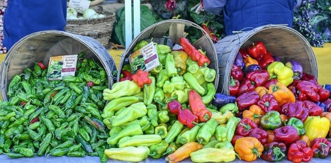 Sustainable shopping: want to eat healthy? Try an eco-friendly diet | Curtin Global Challenges Teaching Resources | Scoop.it