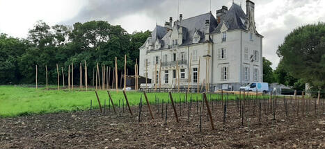 Fermé depuis un an, le château de la Frémoire, étape du Voyage à Nantes, rouvre le 16 juillet | L'Hebdo de Sèvre et Maine | Les clefs du Van | Scoop.it