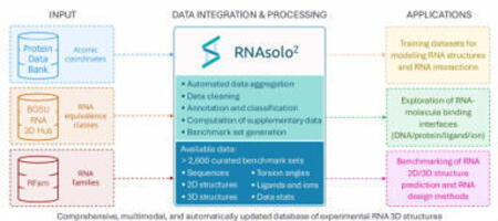RNAsolo 2.0: multimodal database to study RNAs,...
