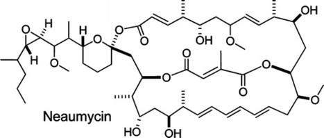 Neaumycin: A New Macrolide from Streptomyces sp. NEAU-x211 | Natural Products Chemistry Breaking News | Scoop.it