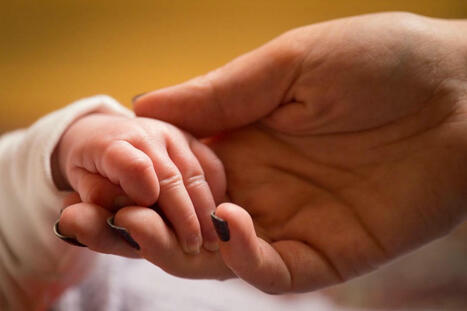 Oxford study shows how DNA impacts life expectancy and fertility | Centre for Population Change Connecting Generations in the news | Scoop.it