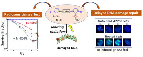 De nouveaux complexes de platine de la famille carbène N-hétérocyclique : vers une application de radio-chimiothérapie ? | Life Sciences Université Paris-Saclay | Scoop.it
