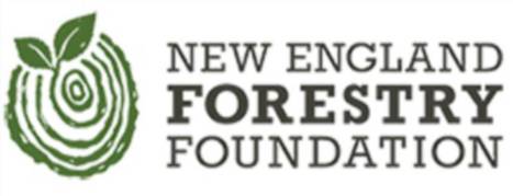 A new program begins for forest property owners | Timberland Investment | Scoop.it