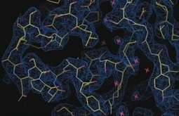 Victory for crowdsourced biomolecule design | Science News | Scoop.it