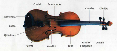 Partes Del Violin El Violin Scoop It