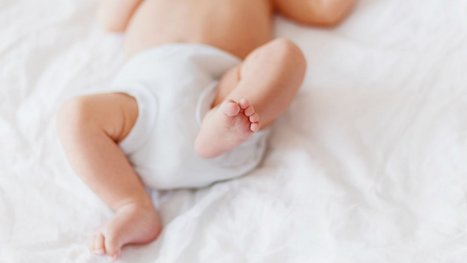 Japon : le taux de natalité est si faible, que les ventes de couches pour adultes dépassent celles des couches pour bébés | FRUITS ET LÉGUMES | Scoop.it