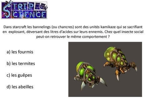 Festiblog 2013: le Compte Rendu | EntomoScience | Scoop.it