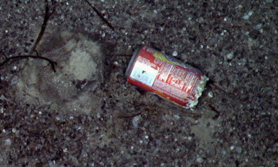 Litter/Plastic found in deepsea survey of one of Earth's final unexplored realms | OUR OCEANS NEED US | Scoop.it