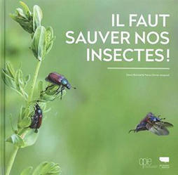 Il faut sauver nos insectes&nbsp;! | Vari&eacute;t&eacute;s entomologiques | Scoop.it