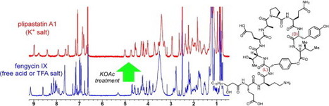 Termination of the structural confusion between plipastatin A1 and fengycin IX | Natural Products Chemistry Breaking News | Scoop.it