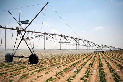 Billions face food, water shortages over next 30 years as nature fails | Stage 5 Sustainable Biomes | Scoop.it