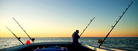 How to Allocate Your Time, and Your Effort | T.I.P.S. Tracking | Scoop.it