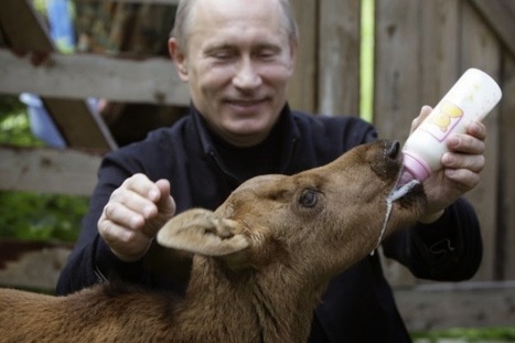 La loi antir&eacute;visionniste russe : pourquoi ? Un essai d'explication | ACTUALIT&Eacute; | Scoop.it