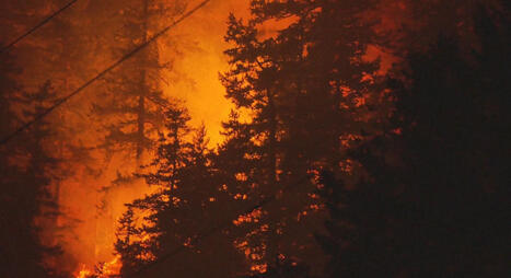Ferry Fire in Gilliam County: Campground evacuated as wildfire grows to 2,000 acres - KOIN.com | Operation Deimos | Scoop.it