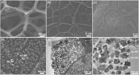 High-Performance Li–O2 Batteries with Controlled Li2O2 Growth in Graphene/Au-Nanoparticles/Au-Nanosheets Sandwich | Daily Newspaper | Scoop.it