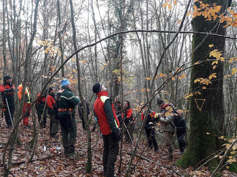 Trame turquoise et vieux bois : un projet structurant pour la biodiversit&eacute; des for&ecirc;ts publiques | Regards crois&eacute;s sur la transition &eacute;cologique | Scoop.it