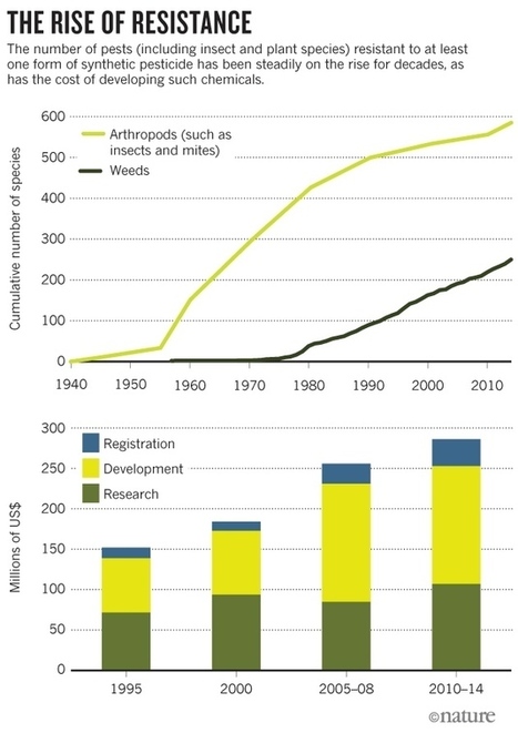 CRISPR, microbes and more are joining the war against crop killers | Plant Biology Teaching Resources (Higher Education) | Scoop.it