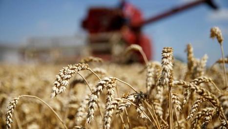 Les défis de l’agriculture en Europe | FRUITS ET LÉGUMES | Scoop.it