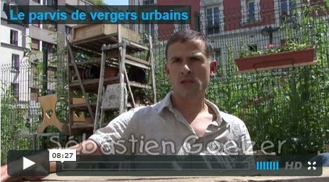 JPP le jardinier : Le parvis de Vergers urbains | Les Colocs du jardin | Scoop.it
