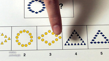 De las inteligencias múltiples a la educación personalizada | Intelligences Multiples | Scoop.it