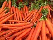 World Carrot Museum - all about carrots | Human Interest | Scoop.it
