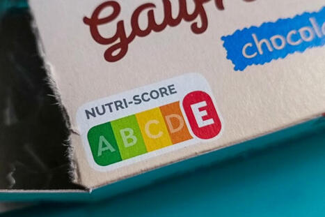 Obésité : une étude dédouane la sédentarité et accuse la malbouffe | Toxique, soyons vigilant ! | Scoop.it