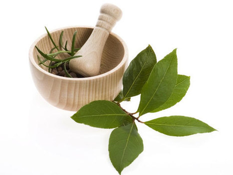 Helpful Herbs For Healthy Hair | HealthNFitness | Scoop.it
