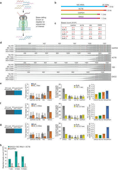 Direct RNA sequencing coupled with adaptive sam...