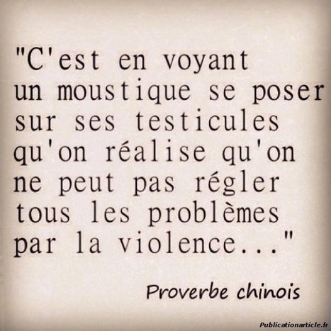 Proverbe Chinois Sur La Violence News Journ