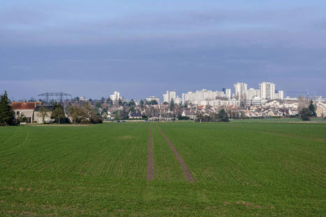 Zéro artificialisation nette : « En Ile-de-France, produire des logements sans détruire les espaces naturels, c’est possible » | Reconversion de friches | Scoop.it