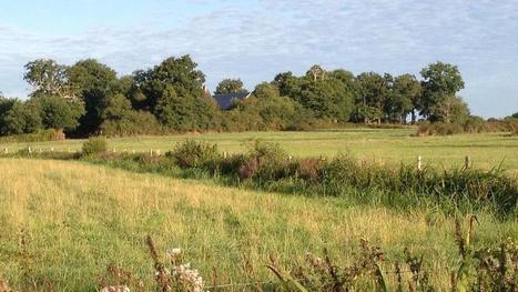 La crise de l'&eacute;levage a profit&eacute; &agrave; l'agriculture biologique - Le Figaro | Paysage - Agriculture | Scoop.it