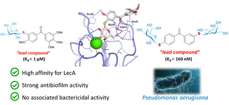 Découverte de nouveaux thioglycosides prometteurs pour le traitement des infections à pseudomonas aeruginosa | Life Sciences Université Paris-Saclay | Scoop.it