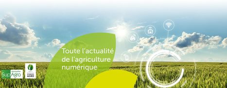 AgroTIC - Stage Géomatique – entomologie | Variétés entomologiques | Scoop.it
