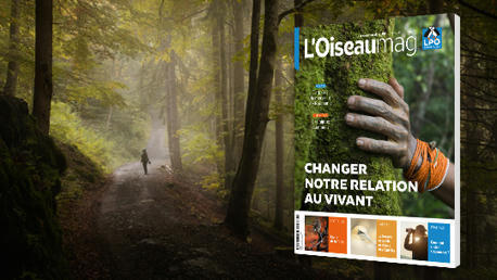 L’Oiseau Magazine N°153 - Changer notre relation au vivant - LPO  | Biodiversité | Scoop.it