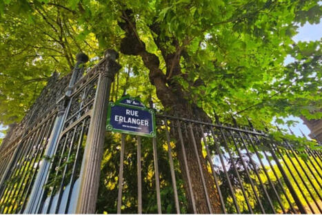 "C'est la fra&icirc;cheur qu'on assassine" : des riverains vent debout contre l'abattage d'arbres pour un projet immobilier | Veille UrbaLyon : Sant&eacute; environnementale & bienfaits du v&eacute;g&eacute;tal | Scoop.it