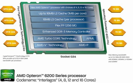 Official AndreasCY: AMD Opteron 6200, 4200 and 3000 processors | Daily Magazine | Scoop.it