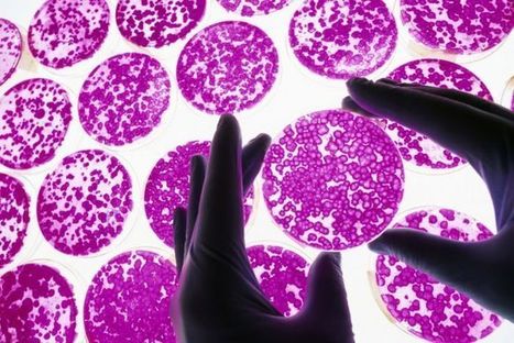 Professor Suzanne Cory calls for sustained investment in science and health ... - ABC Online | History of Immunology | Scoop.it