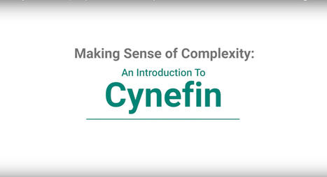 The Cynefin Framework: Sense-Making in Complexity > DINFOS Pavilion > Article | Art of Hosting | Scoop.it