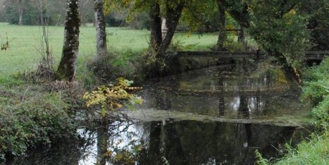 Sigoulès (24) : l’avenir souillé de la Mescoulette / http://www.sudouest.fr du 08.07.2015 | Pollution accidentelle des eaux par produits chimiques | Scoop.it